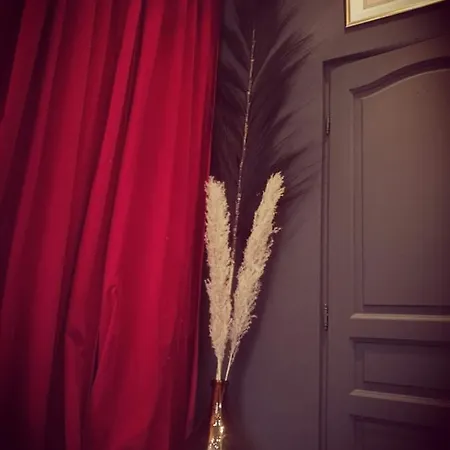 : Le Boudoir Du Centre Historique Appartement *
